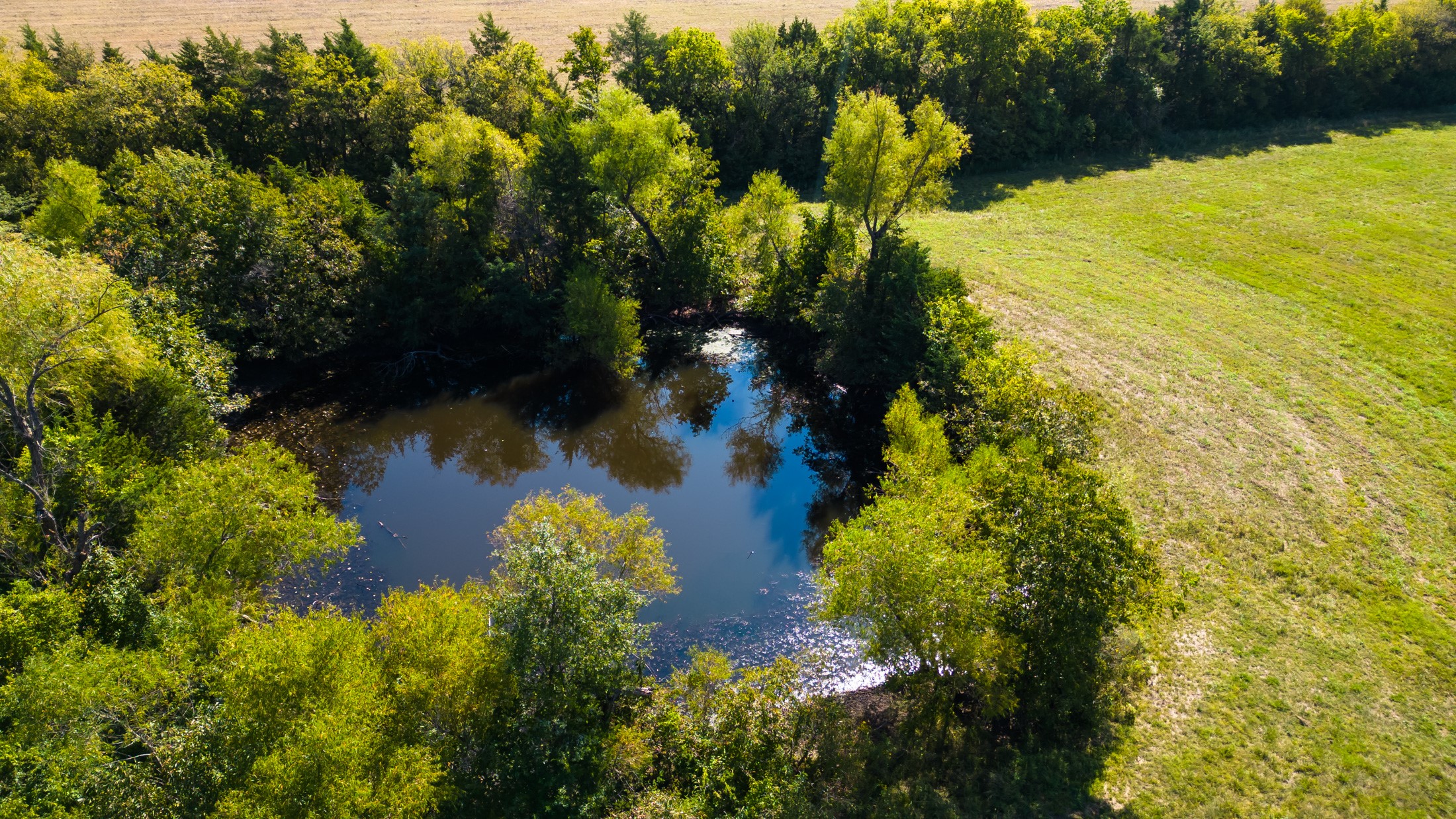 5484 N Fm 1743 Windom TX 75492