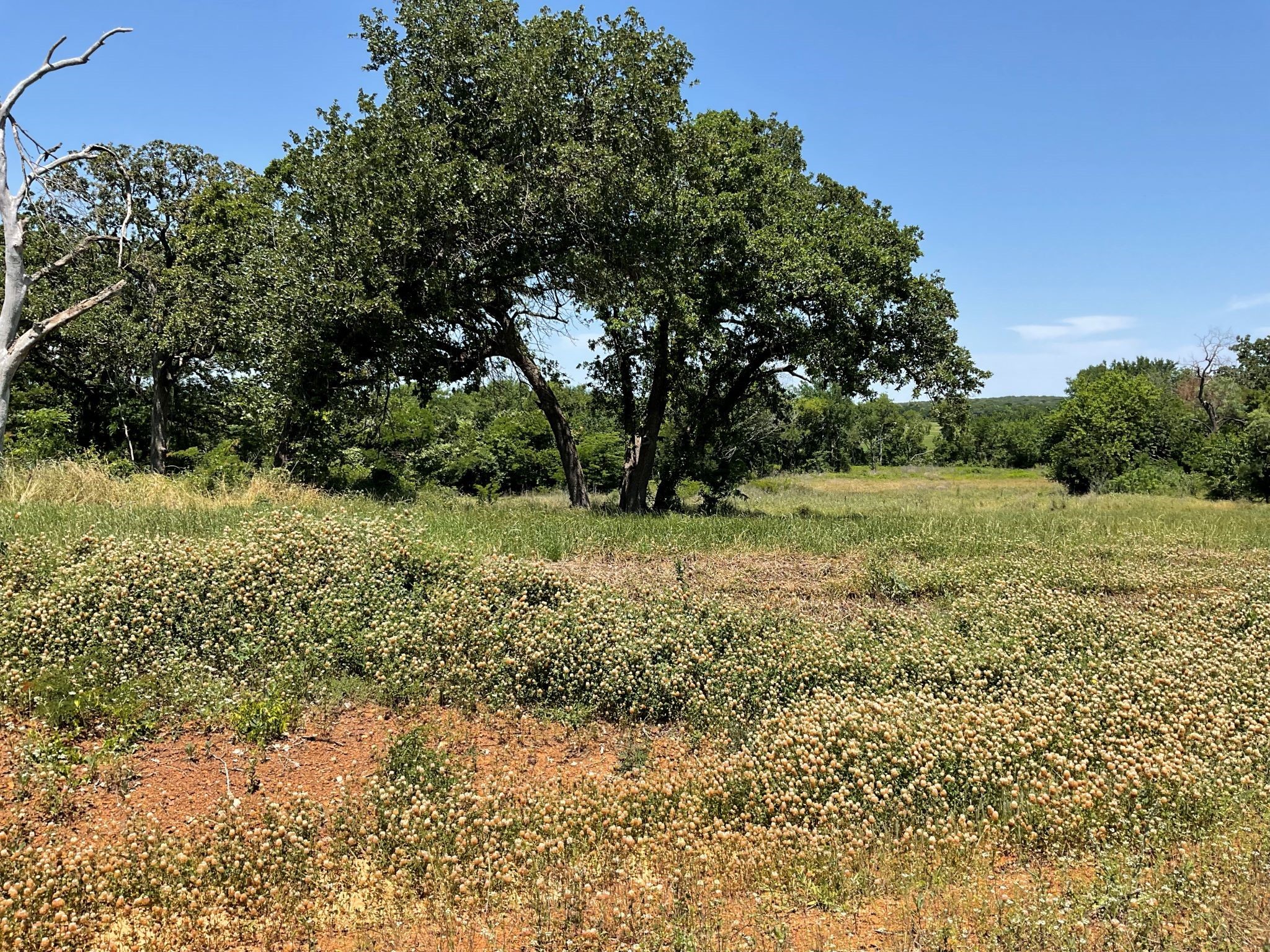 1657 Private Access 60200 Burleson TX 76028