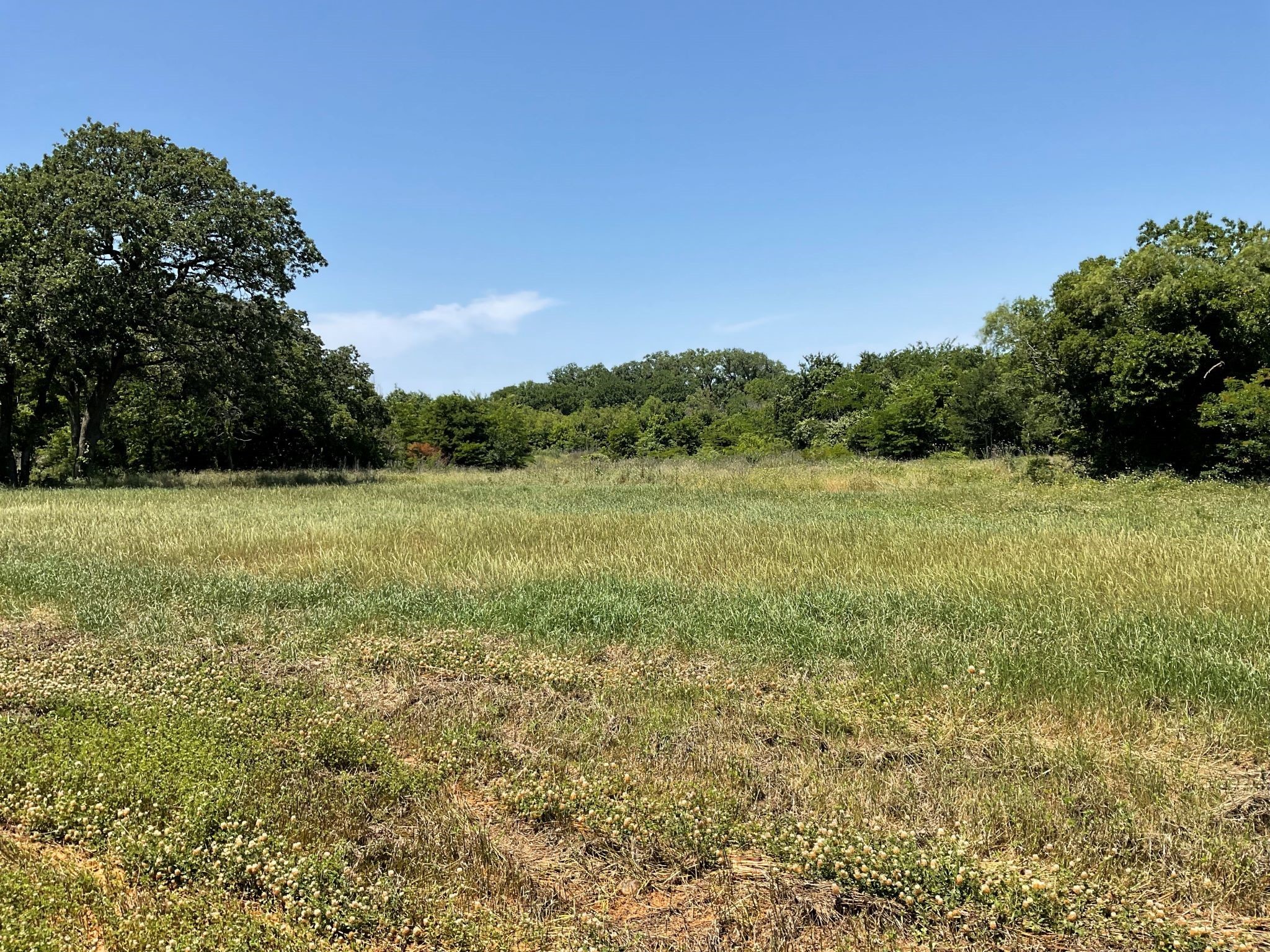 1657 Private Access 60200 Burleson TX 76028