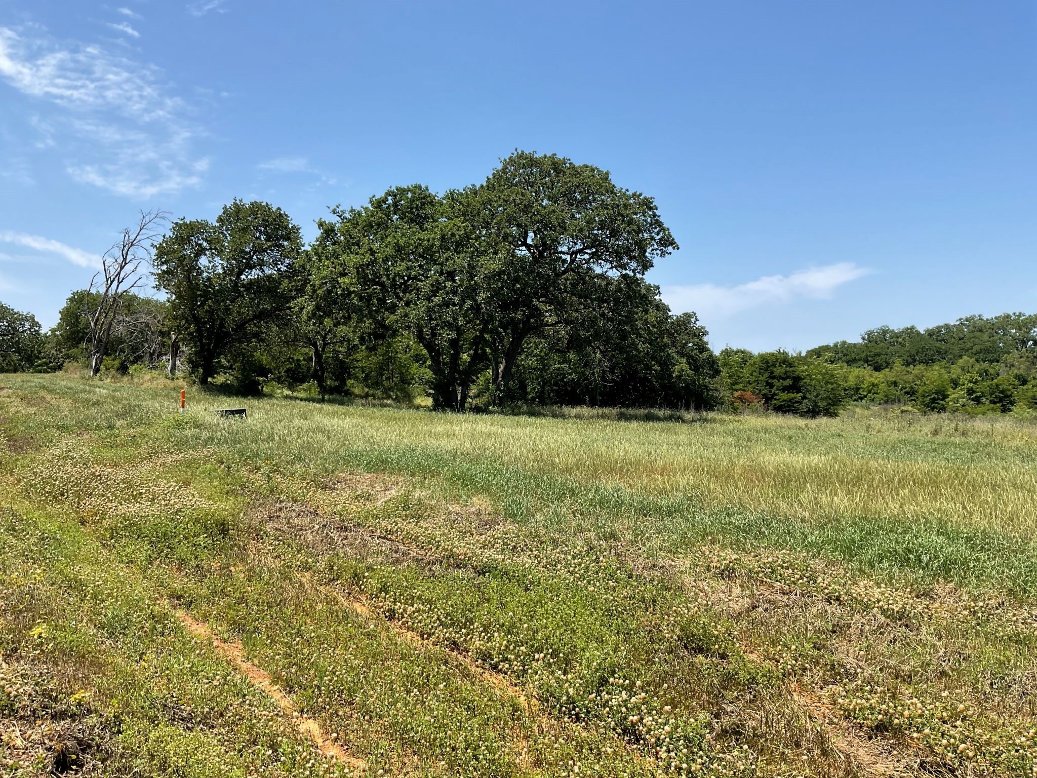 1657 Private Access 60200 Burleson TX 76028