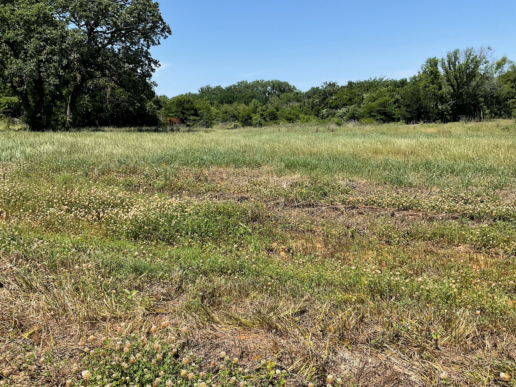1657 Private Access 60200 Burleson TX 76028