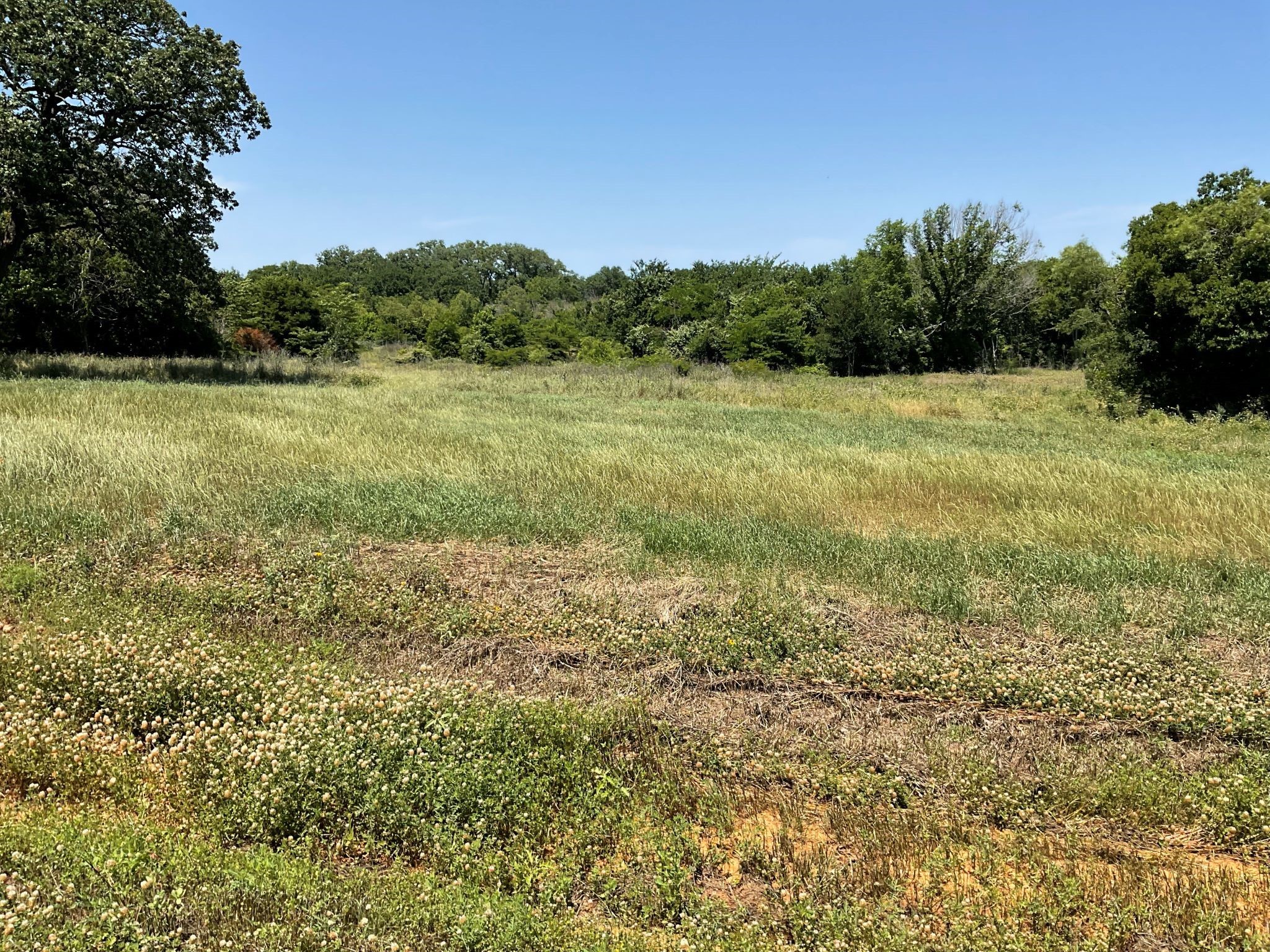 1657 Private Access 60200 Burleson TX 76028