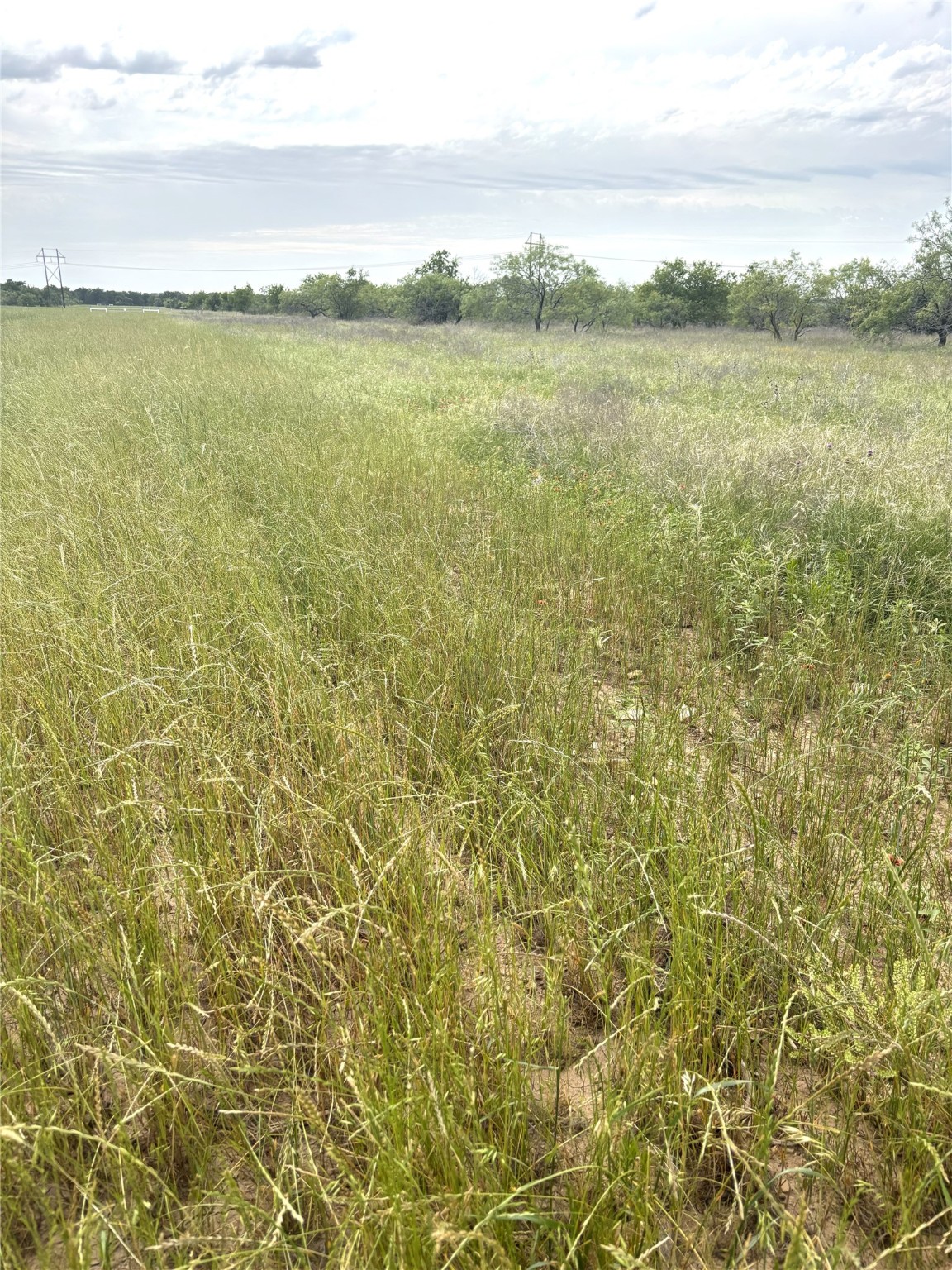 Tbd Grindstone Brock TX 76087