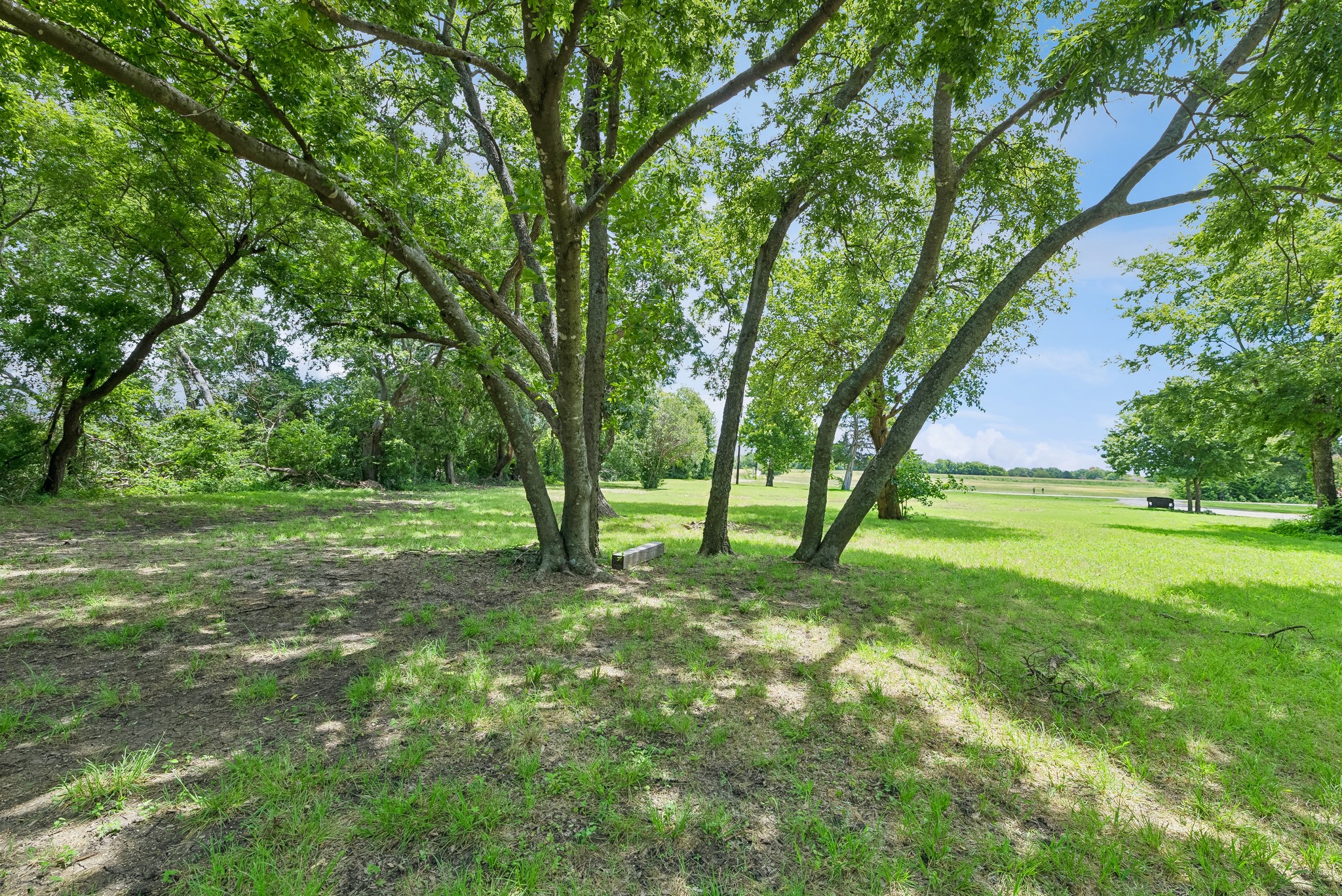 286 W Forest Grove Road Lucas TX 75002