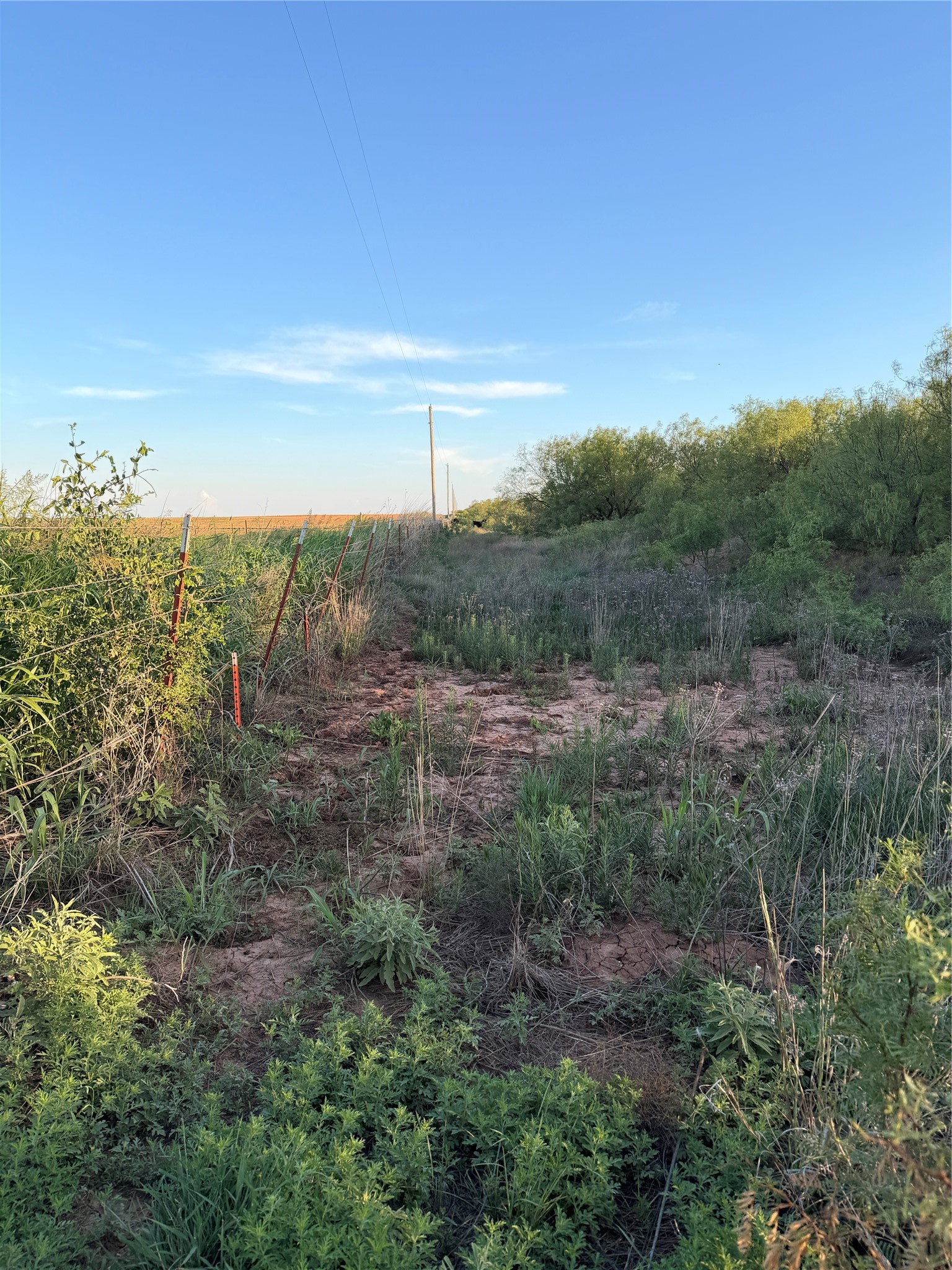 Tbd Nowell Road Quanah TX 79252