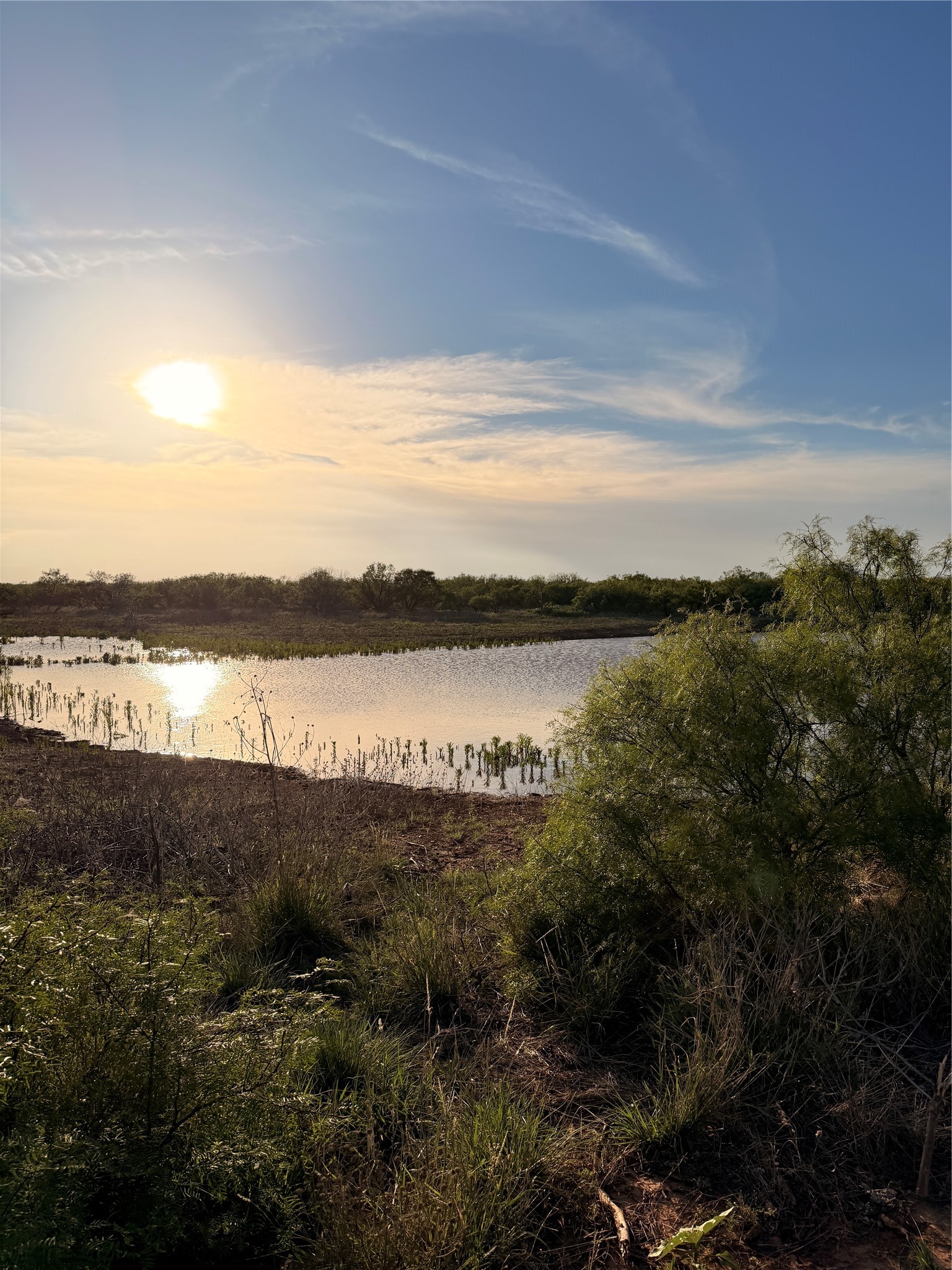 Tbd Nowell Road Quanah TX 79252