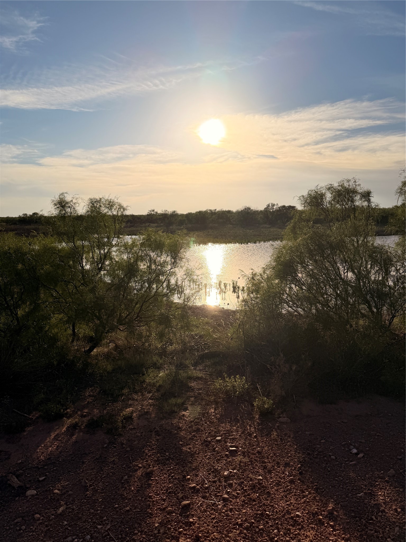 Tbd Nowell Road Quanah TX 79252