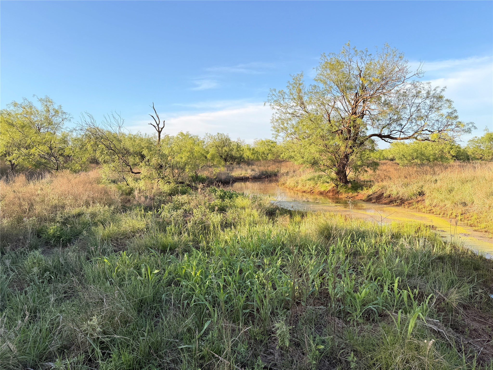 Tbd Nowell Road Quanah TX 79252
