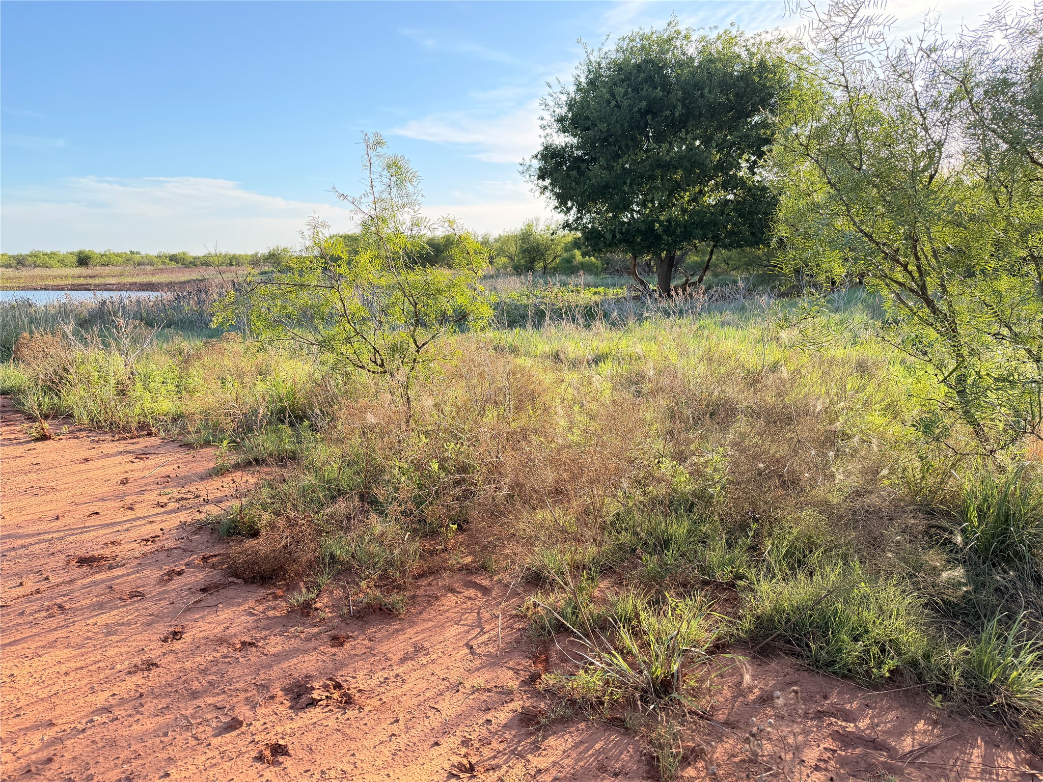 Tbd Nowell Road Quanah TX 79252