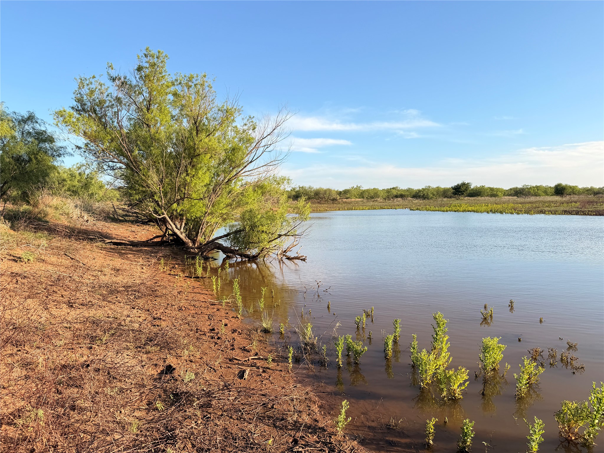 Tbd Nowell Road Quanah TX 79252