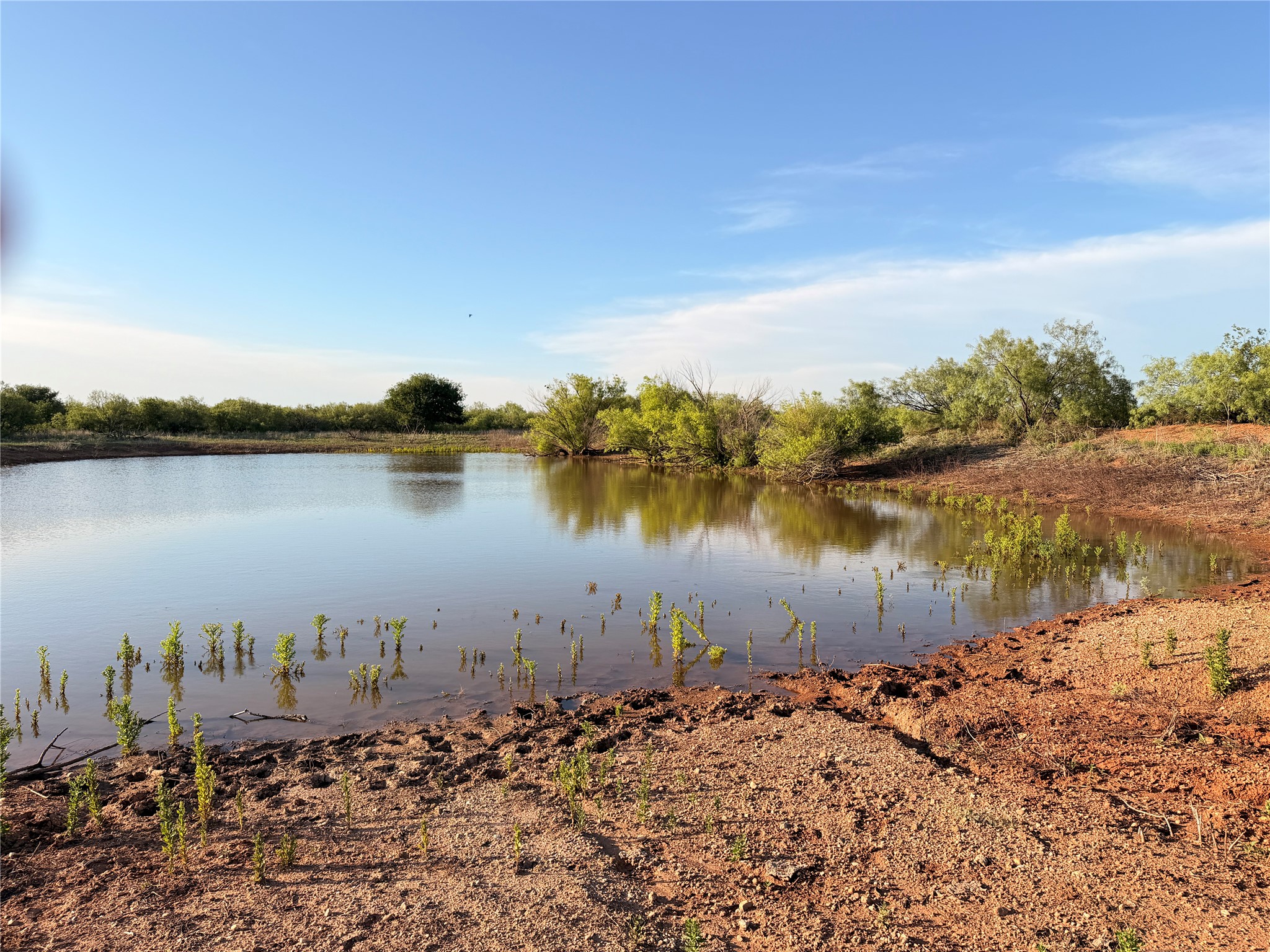 Tbd Nowell Road Quanah TX 79252