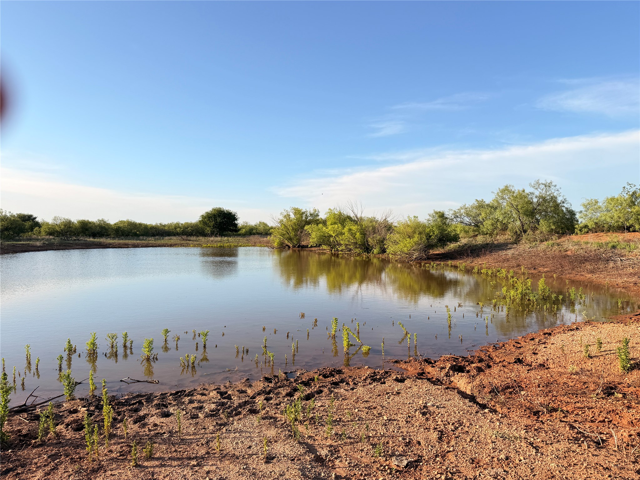 Tbd Nowell Road Quanah TX 79252