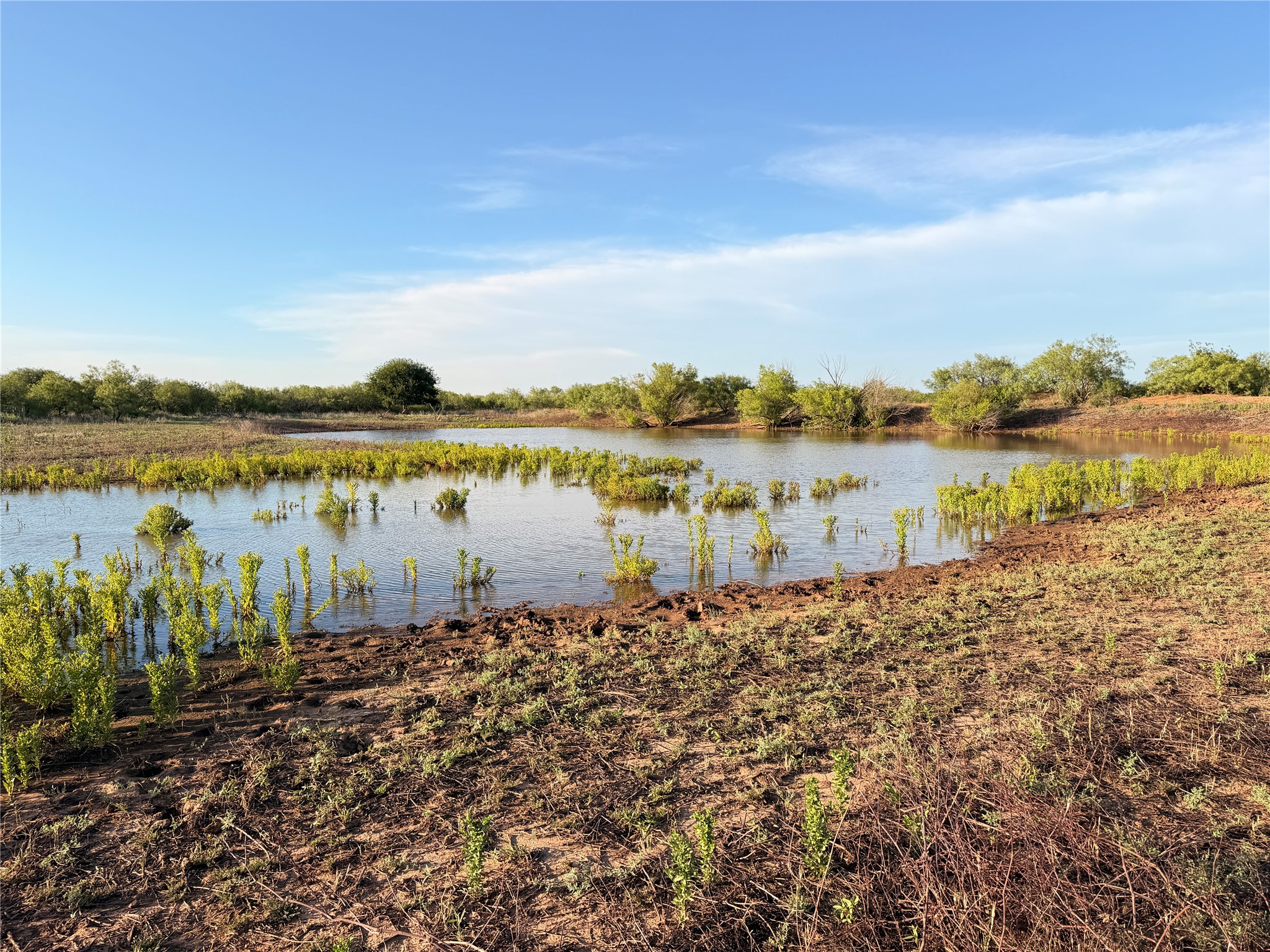 Tbd Nowell Road Quanah TX 79252