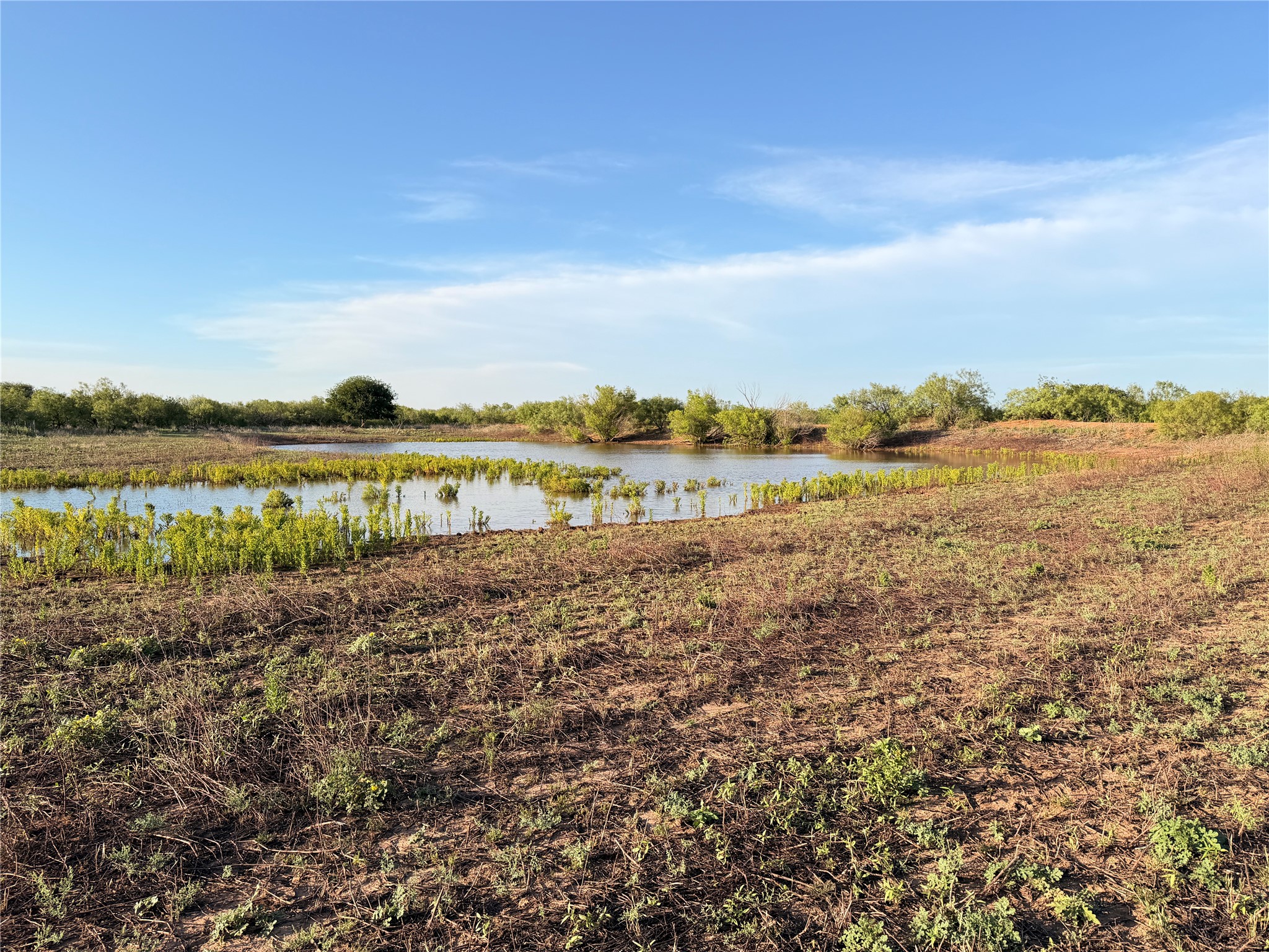 Tbd Nowell Road Quanah TX 79252