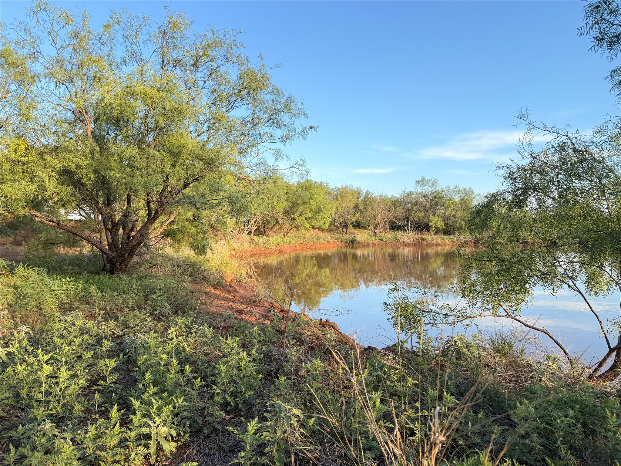 Tbd Nowell Road Quanah TX 79252
