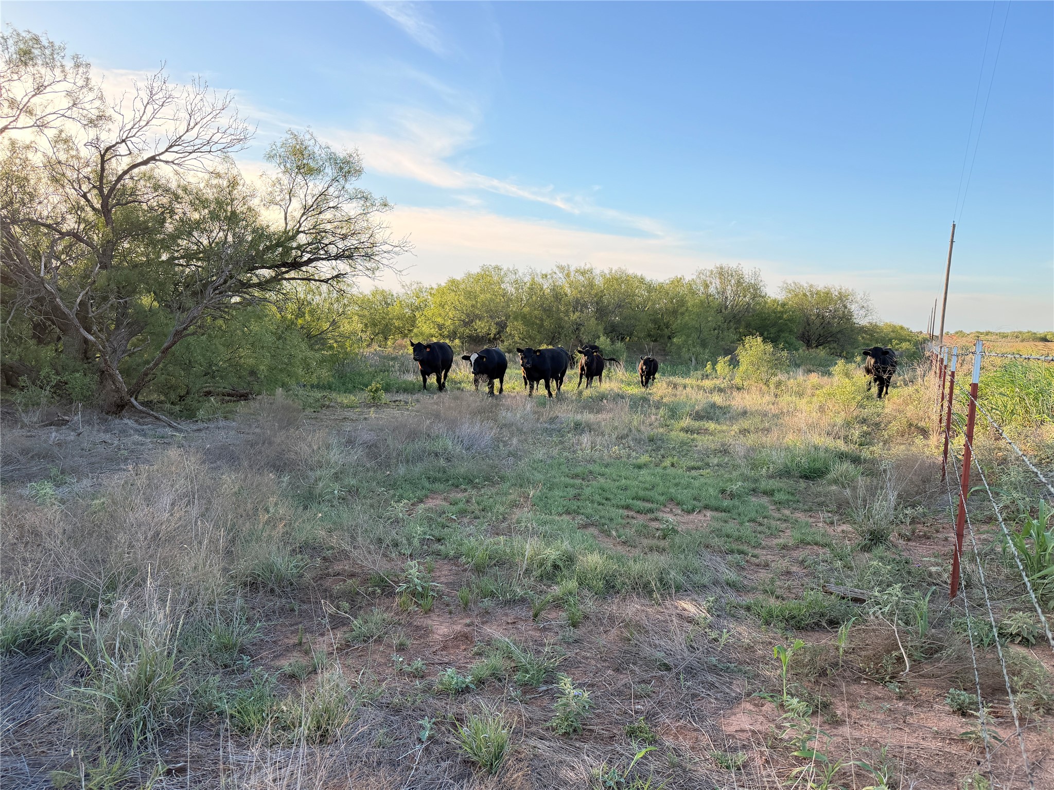 Tbd Nowell Road Quanah TX 79252