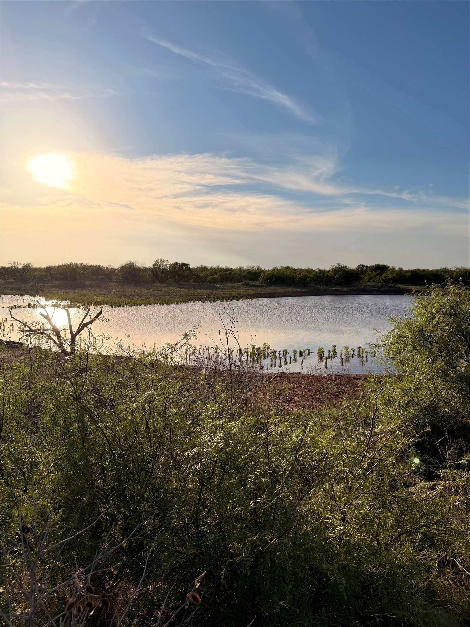 Tbd Nowell Road Quanah TX 79252
