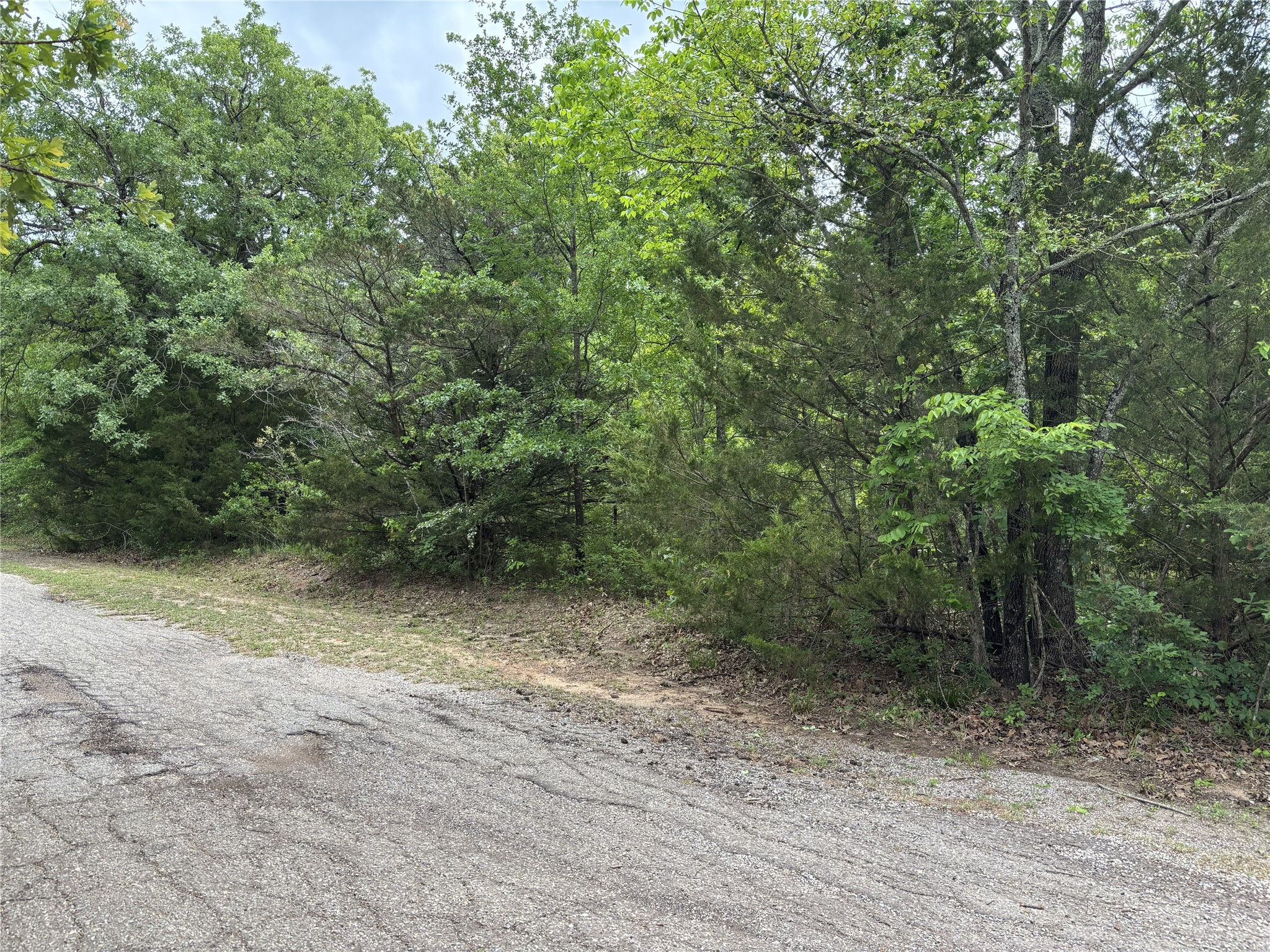 Tbd Red Bud Trail Quinlan TX 75474