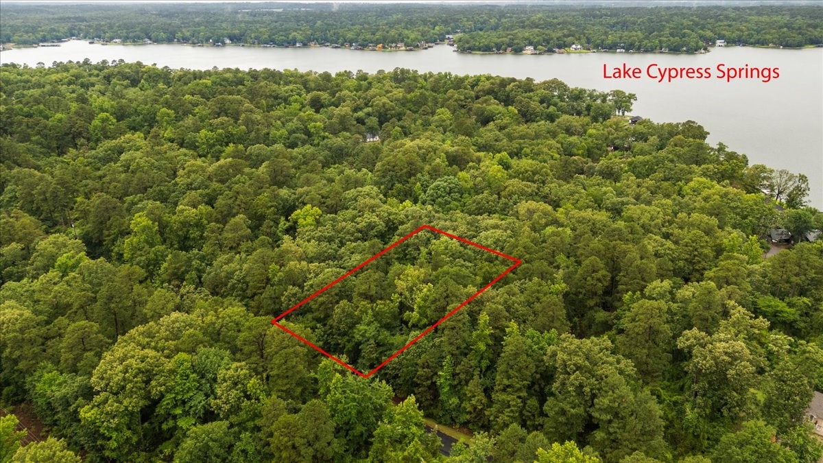 Lot 236 Canadian Drive Scroggins TX 75480