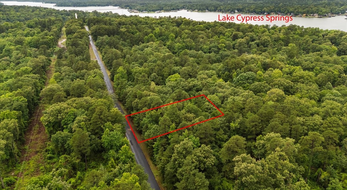 Lot 236 Canadian Drive Scroggins TX 75480