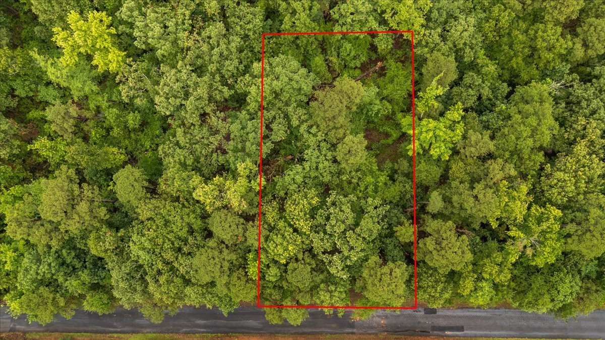 Lot 236 Canadian Drive Scroggins TX 75480