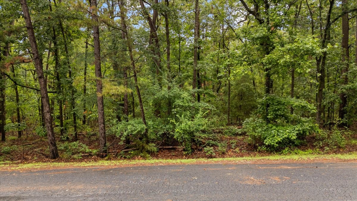 Lot 236 Canadian Drive Scroggins TX 75480