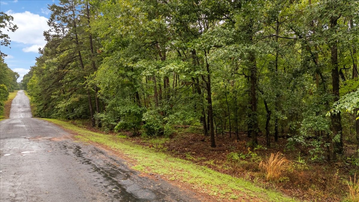 Lot 236 Canadian Drive Scroggins TX 75480