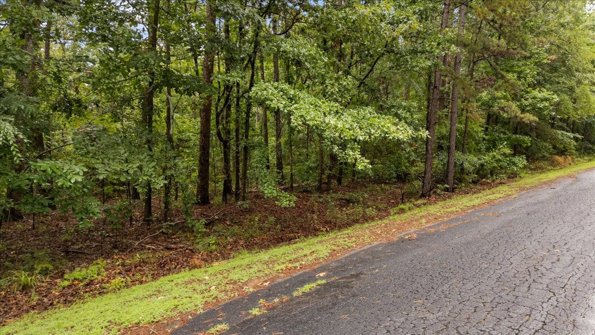 Lot 236 Canadian Drive Scroggins TX 75480