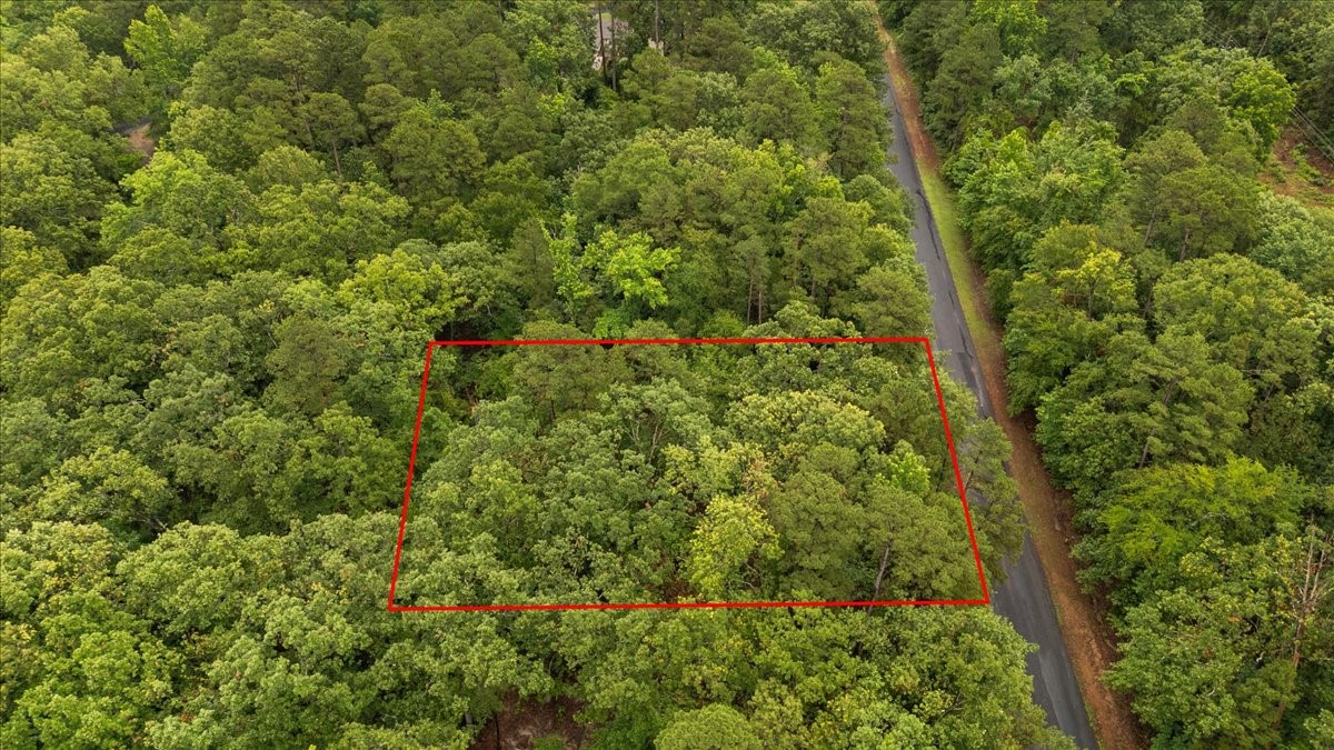 Lot 236 Canadian Drive Scroggins TX 75480