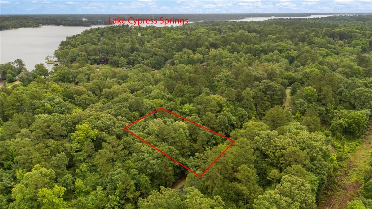 Lot 236 Canadian Drive Scroggins TX 75480