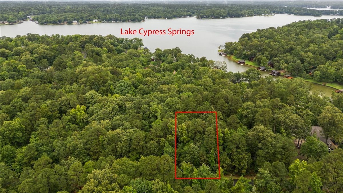 Lot 236 Canadian Drive Scroggins TX 75480