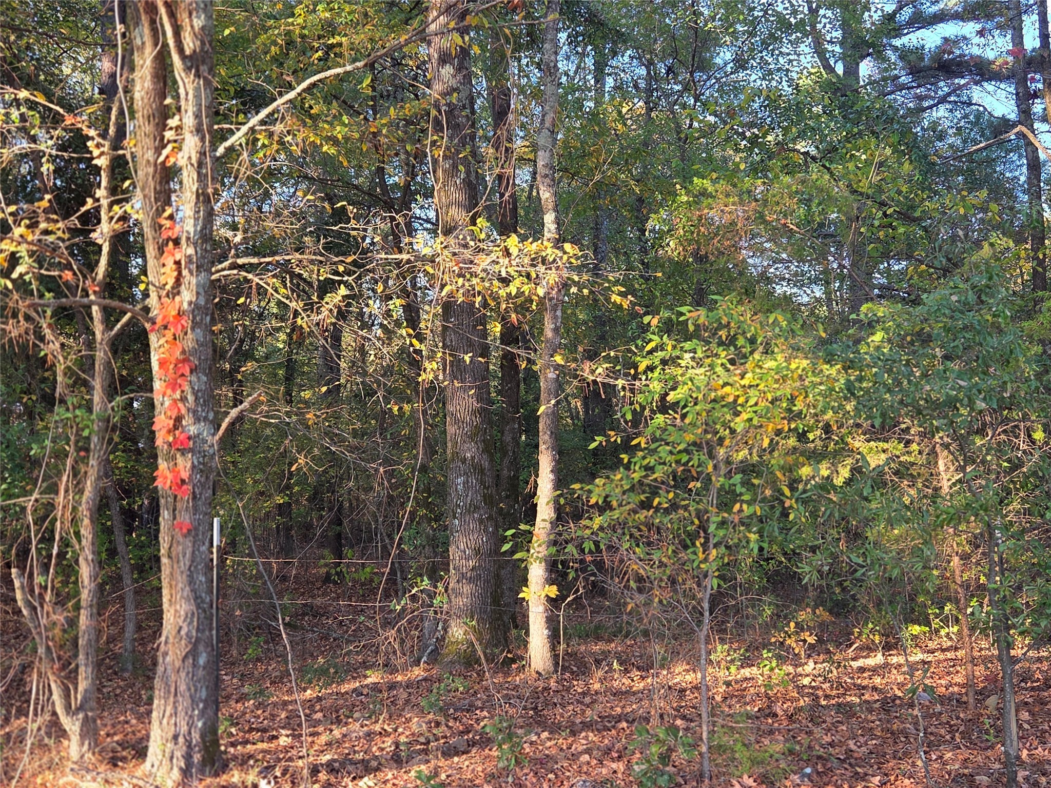 10 Acres Tbd County Road 3117 Clarksville TX 75426
