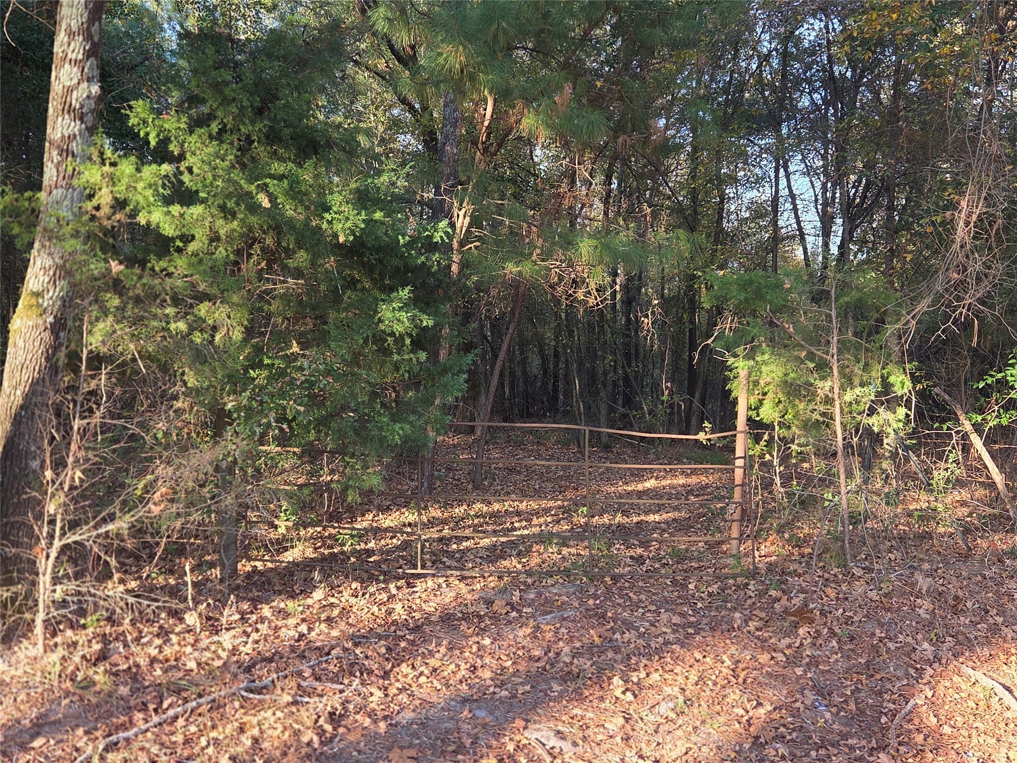 10 Acres Tbd County Road 3117 Clarksville TX 75426