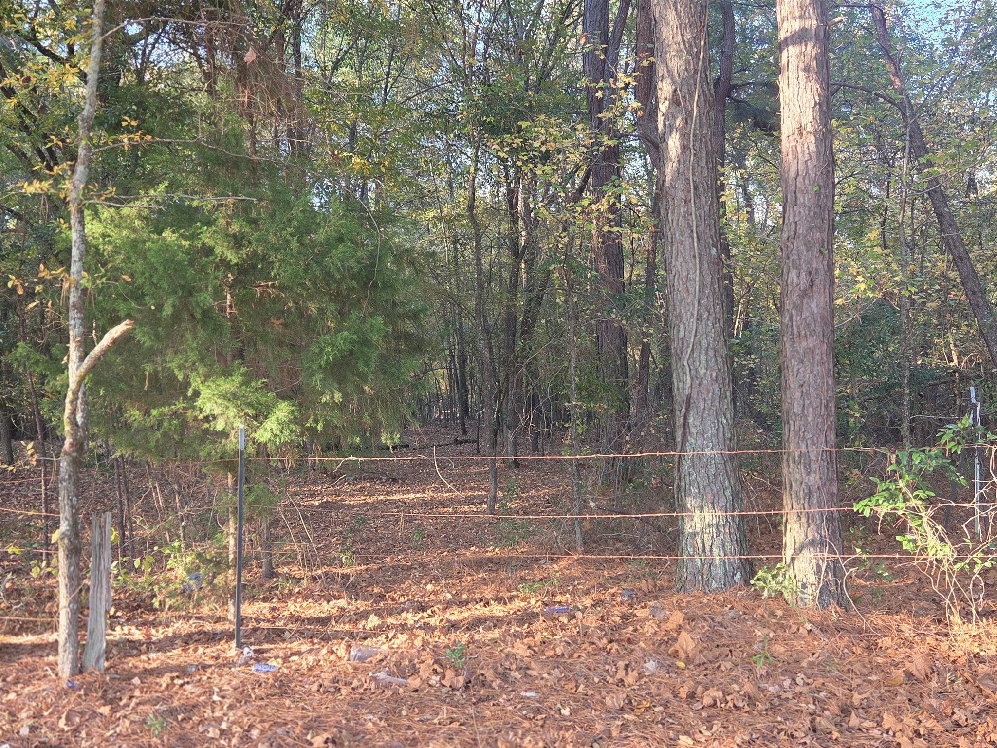 10 Acres Tbd County Road 3117 Clarksville TX 75426