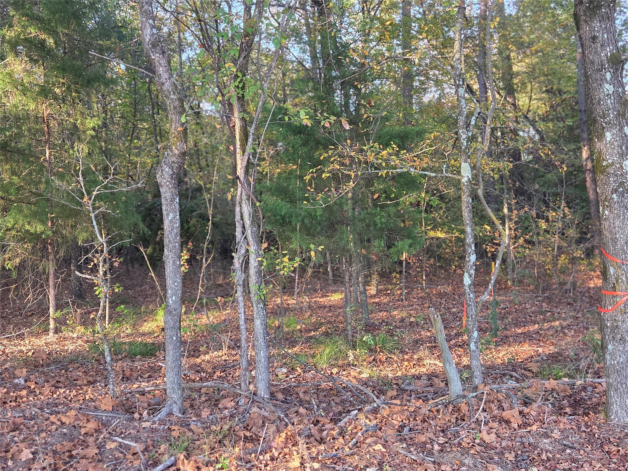 10 Acres Tbd County Road 3117 Clarksville TX 75426