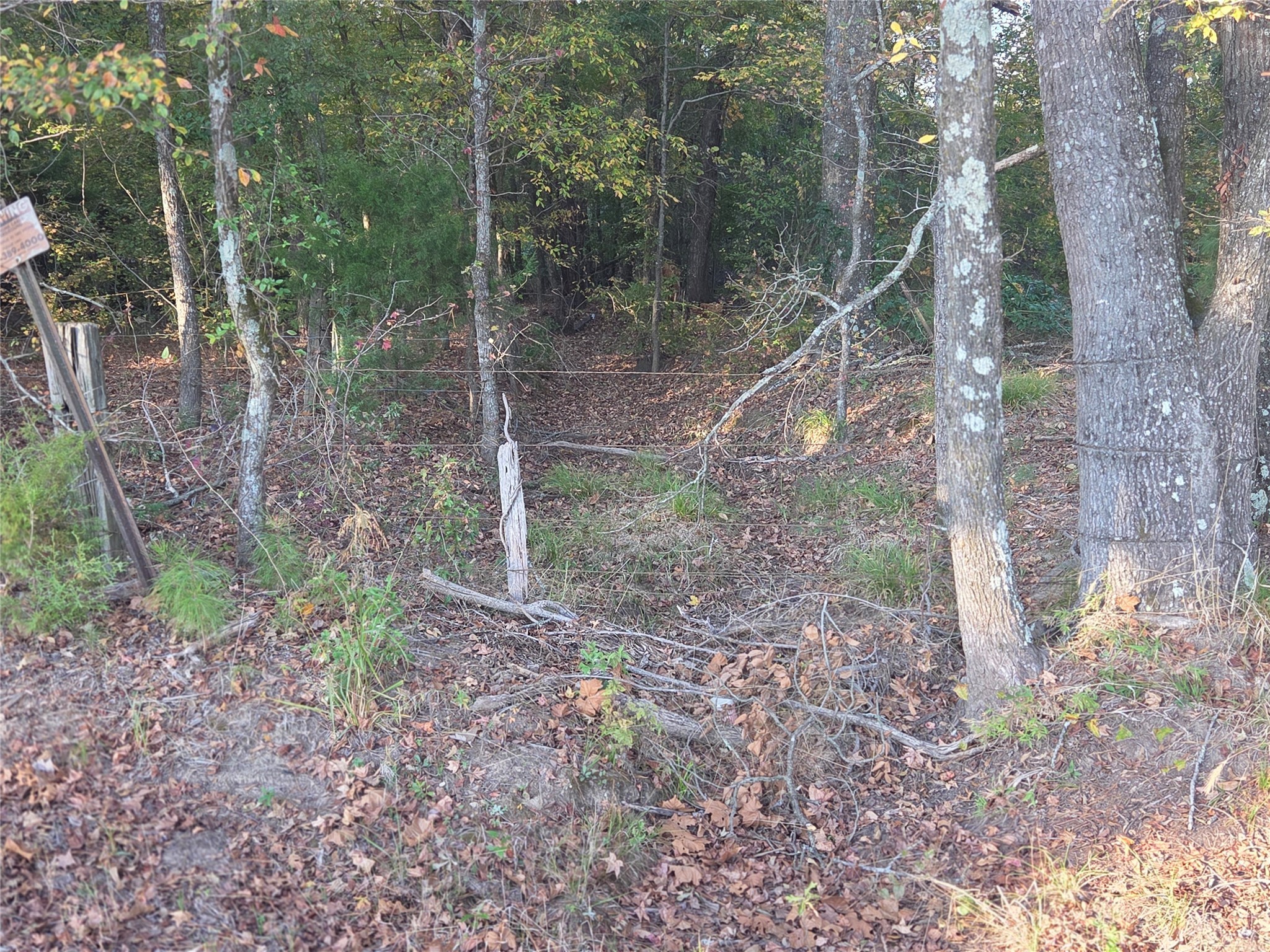 10 Acres Tbd County Road 3117 Clarksville TX 75426
