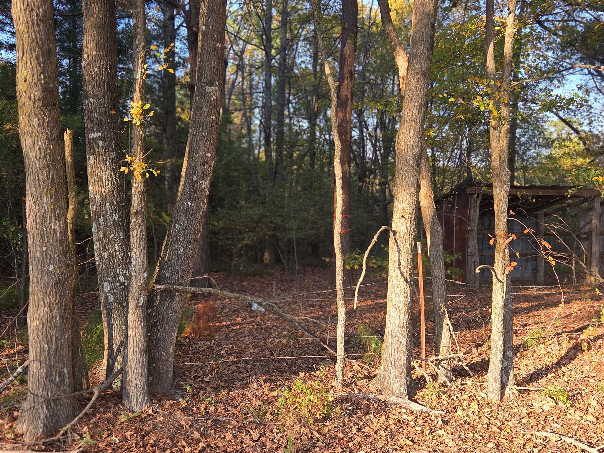 10 Acres Tbd County Road 3117 Clarksville TX 75426