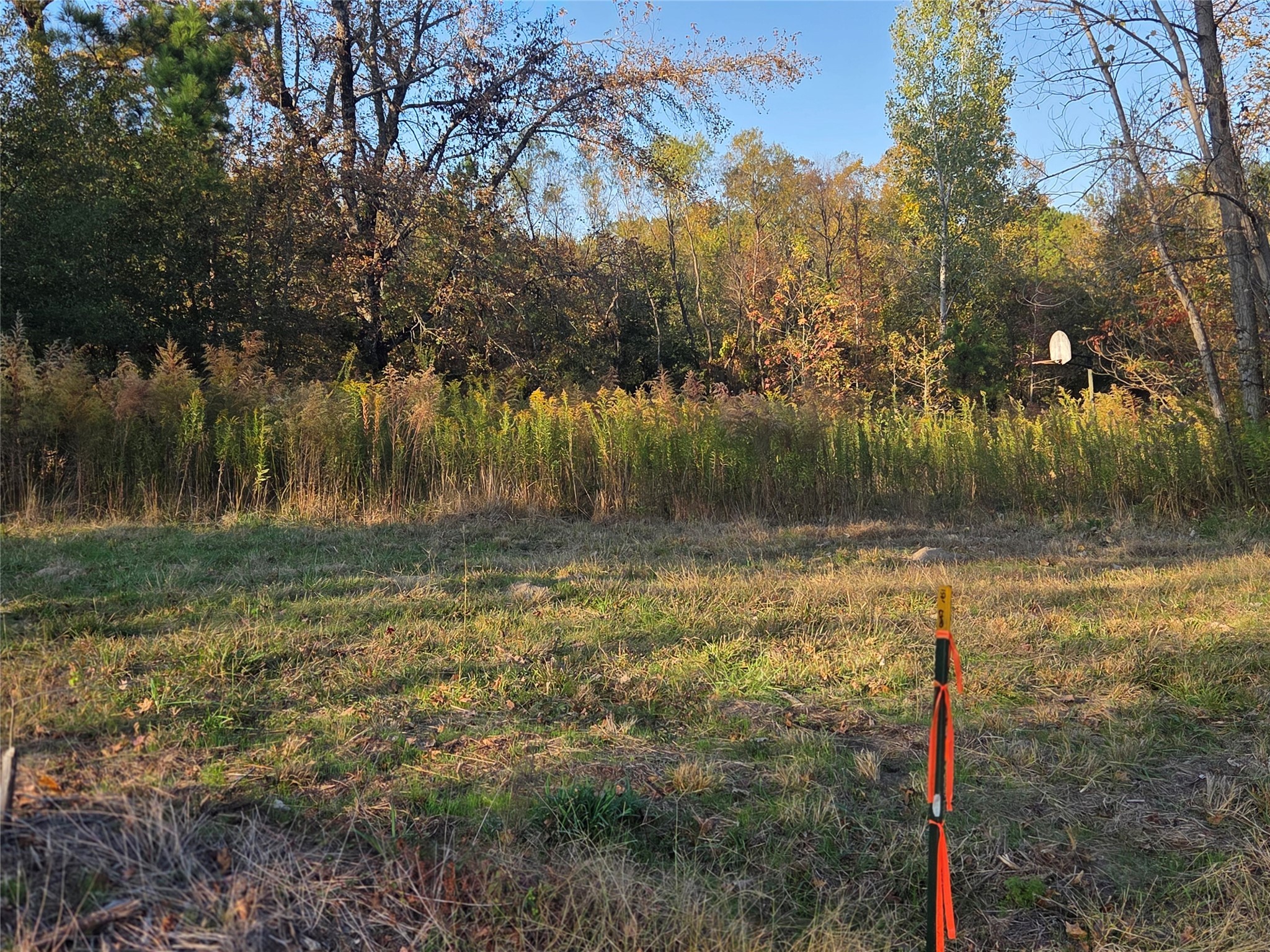10 Acres Tbd County Road 3117 Clarksville TX 75426