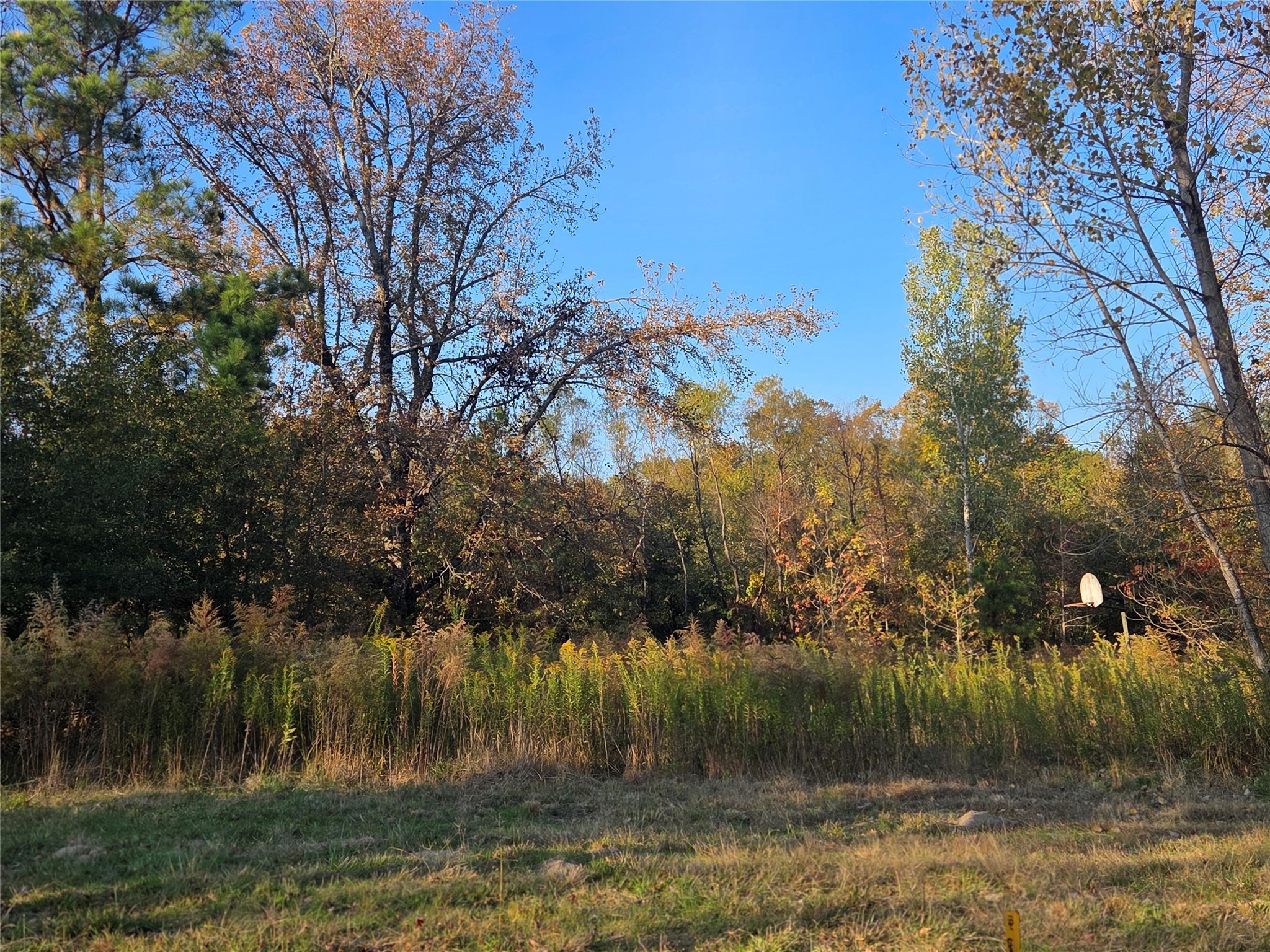 10 Acres Tbd County Road 3117 Clarksville TX 75426