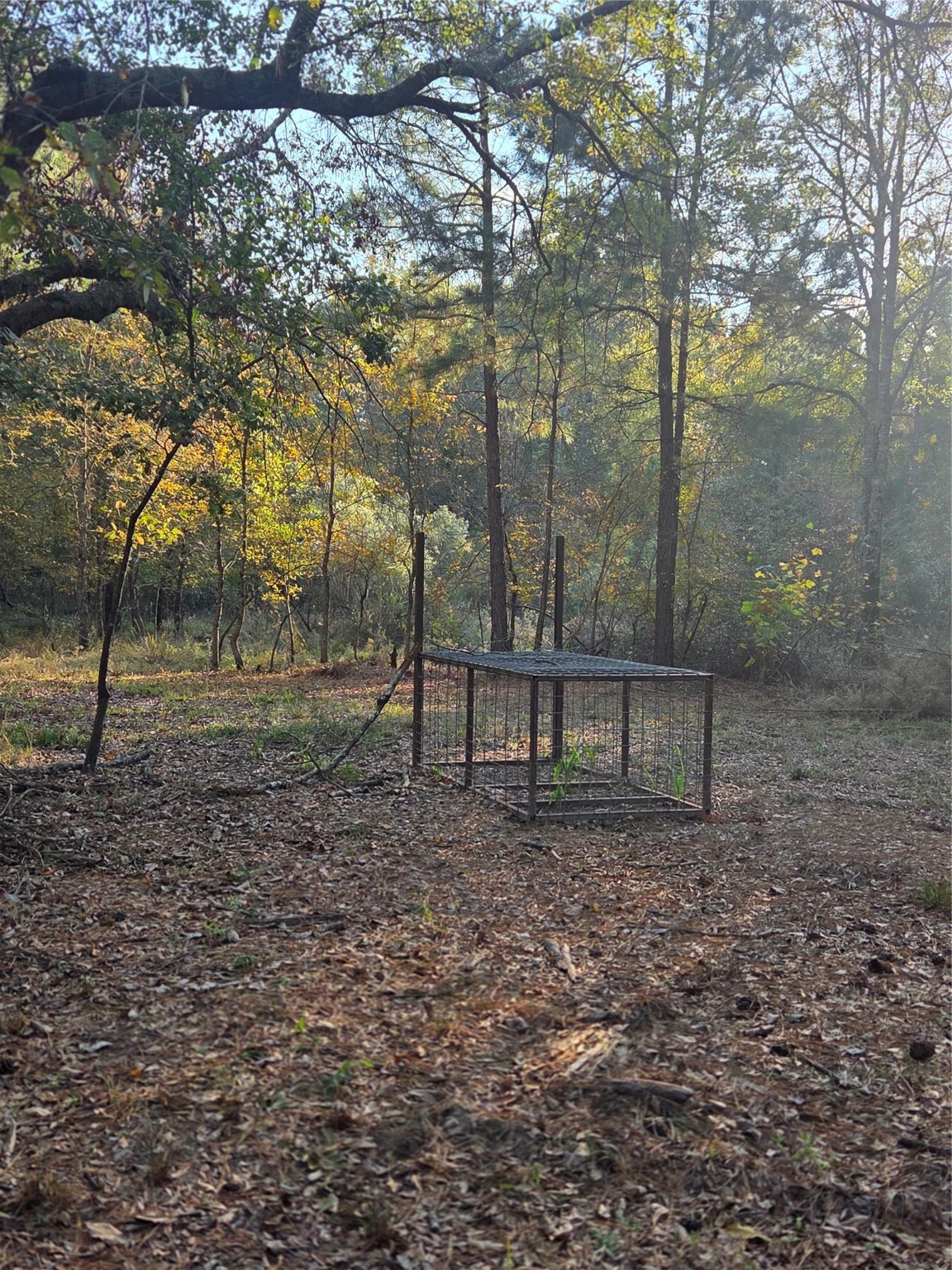 10 Acres Tbd County Road 3117 Clarksville TX 75426