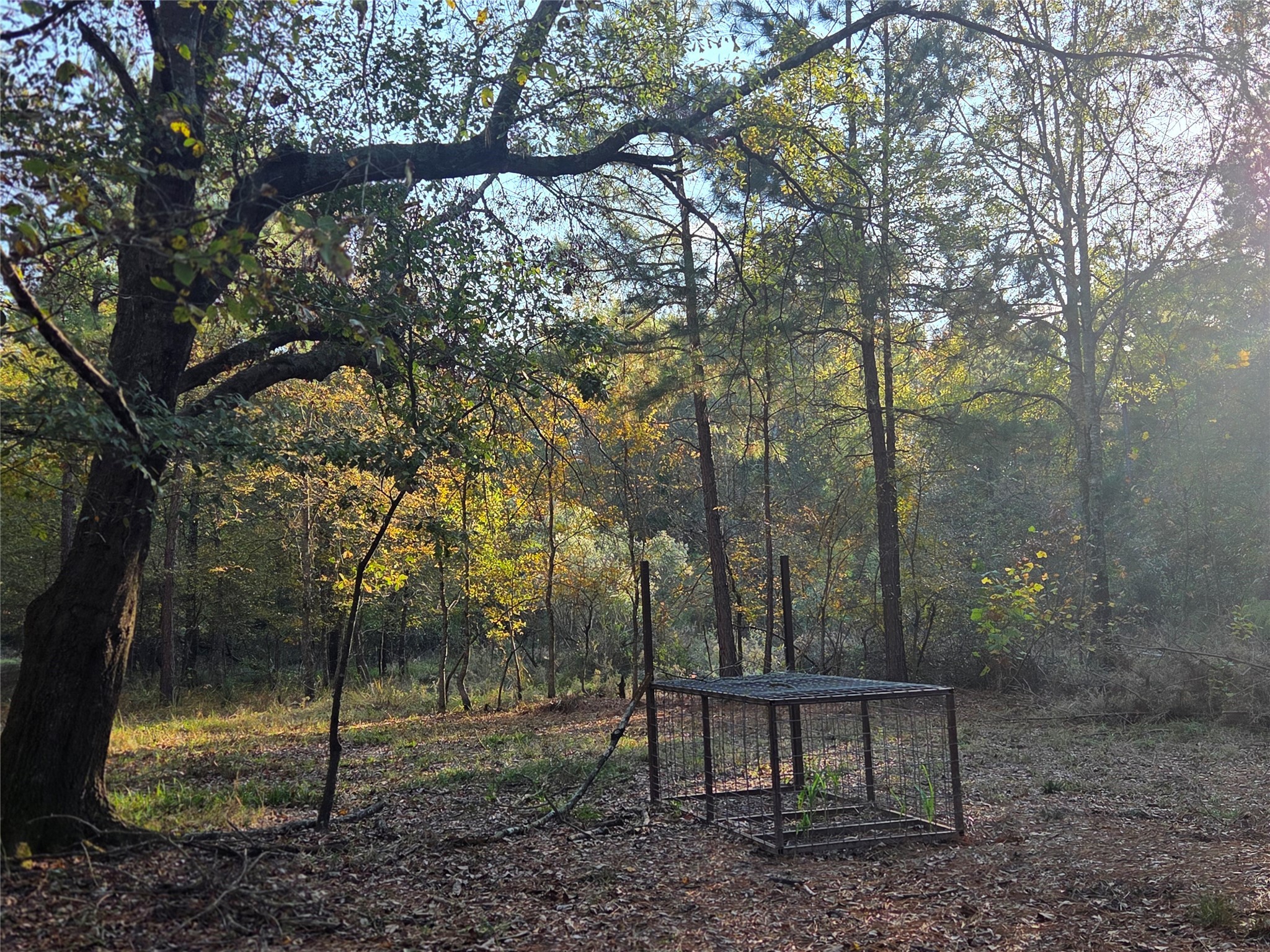 10 Acres Tbd County Road 3117 Clarksville TX 75426