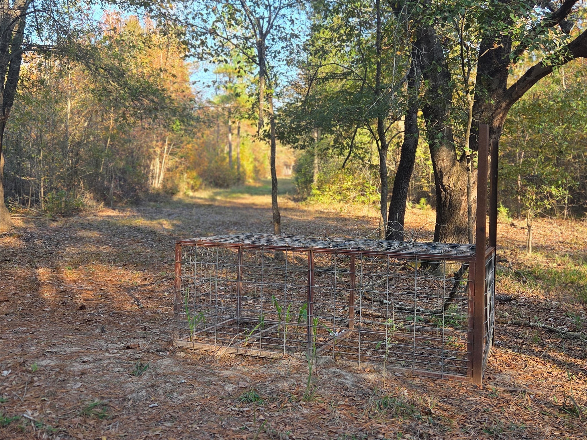 10 Acres Tbd County Road 3117 Clarksville TX 75426