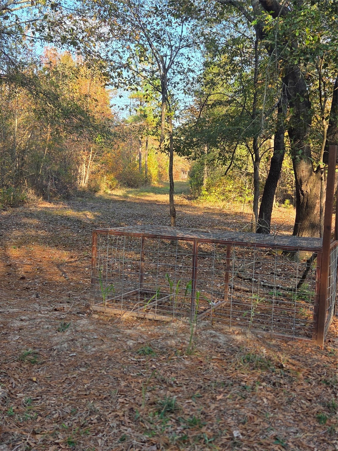 10 Acres Tbd County Road 3117 Clarksville TX 75426