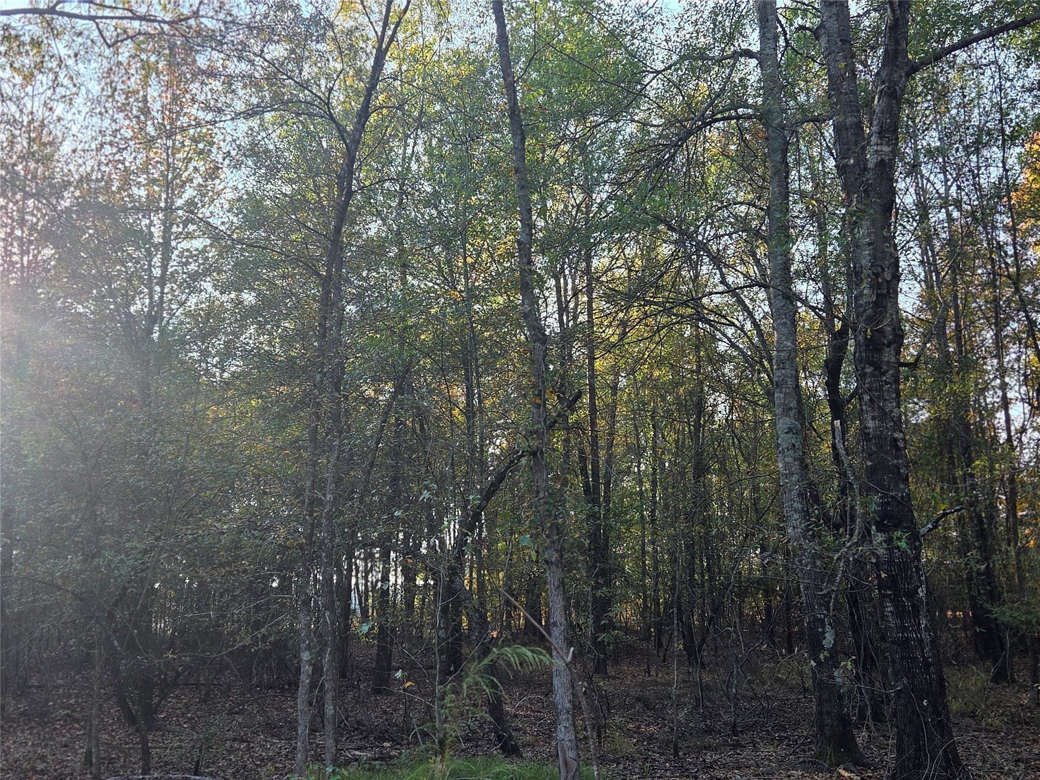 10 Acres Tbd County Road 3117 Clarksville TX 75426