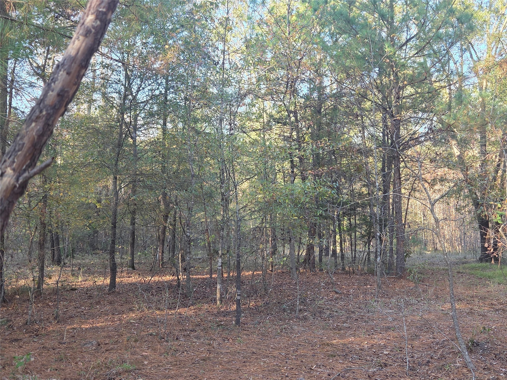 10 Acres Tbd County Road 3117 Clarksville TX 75426
