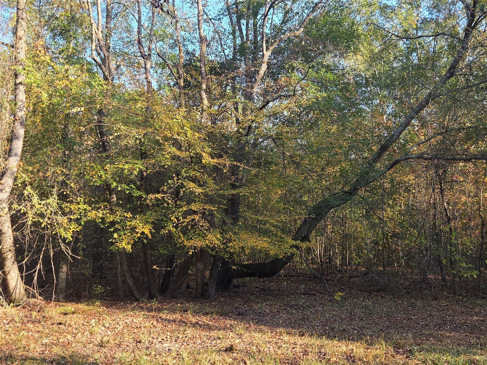 10 Acres Tbd County Road 3117 Clarksville TX 75426