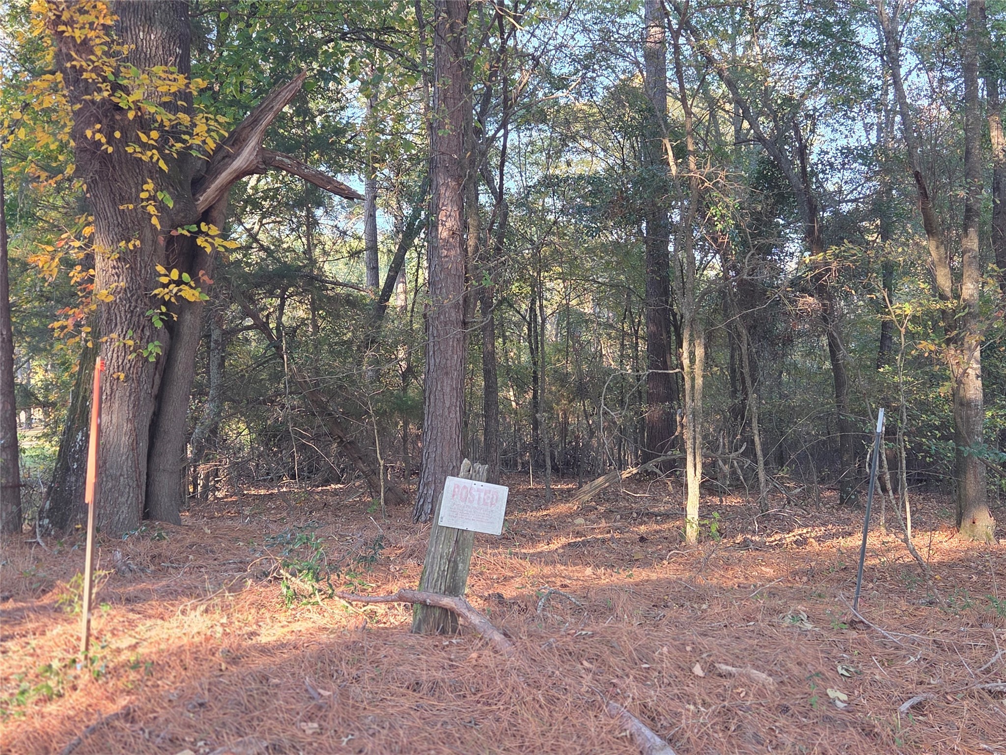 10 Acres Tbd County Road 3117 Clarksville TX 75426