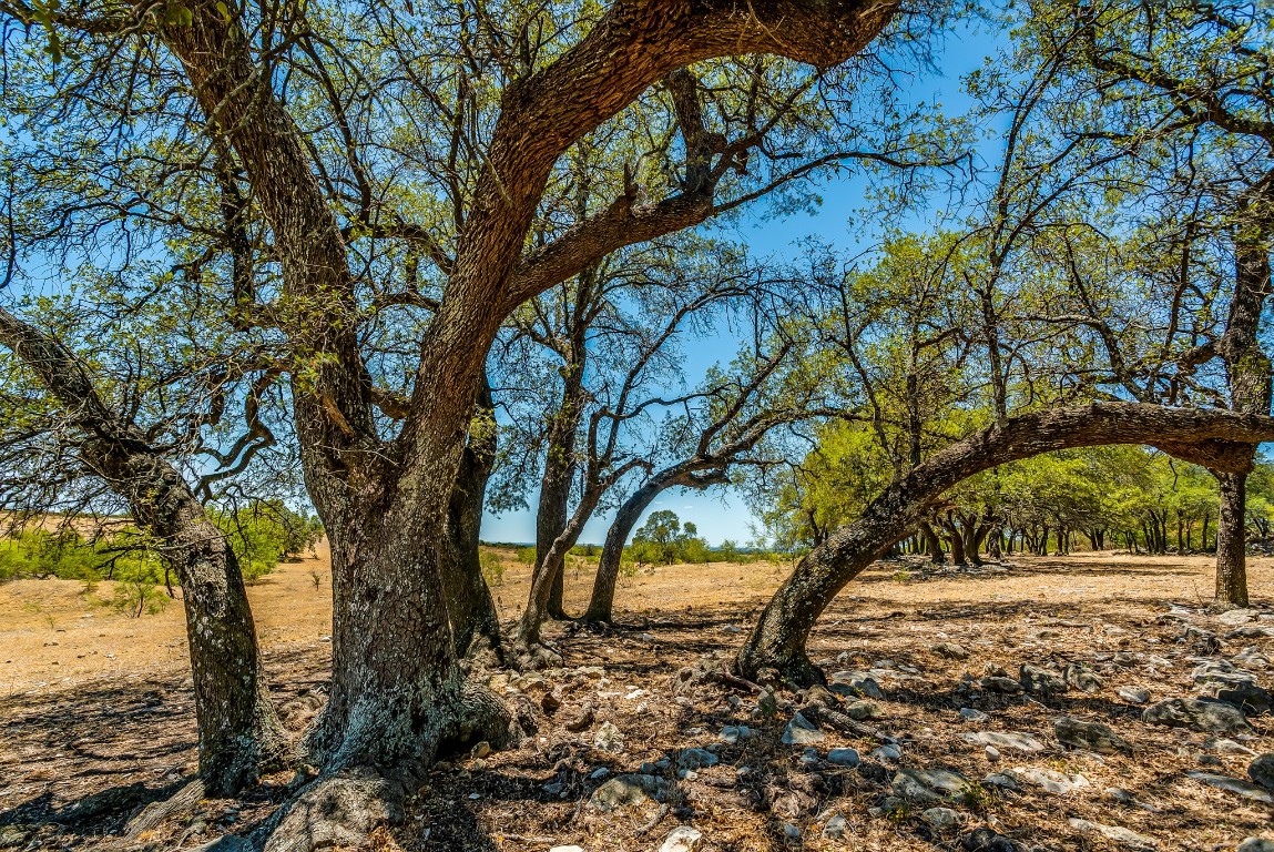 7700 Old Granbury Road Cresson TX 76035