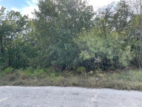 Lot 29 Brittons Lane Runaway Bay TX 76426