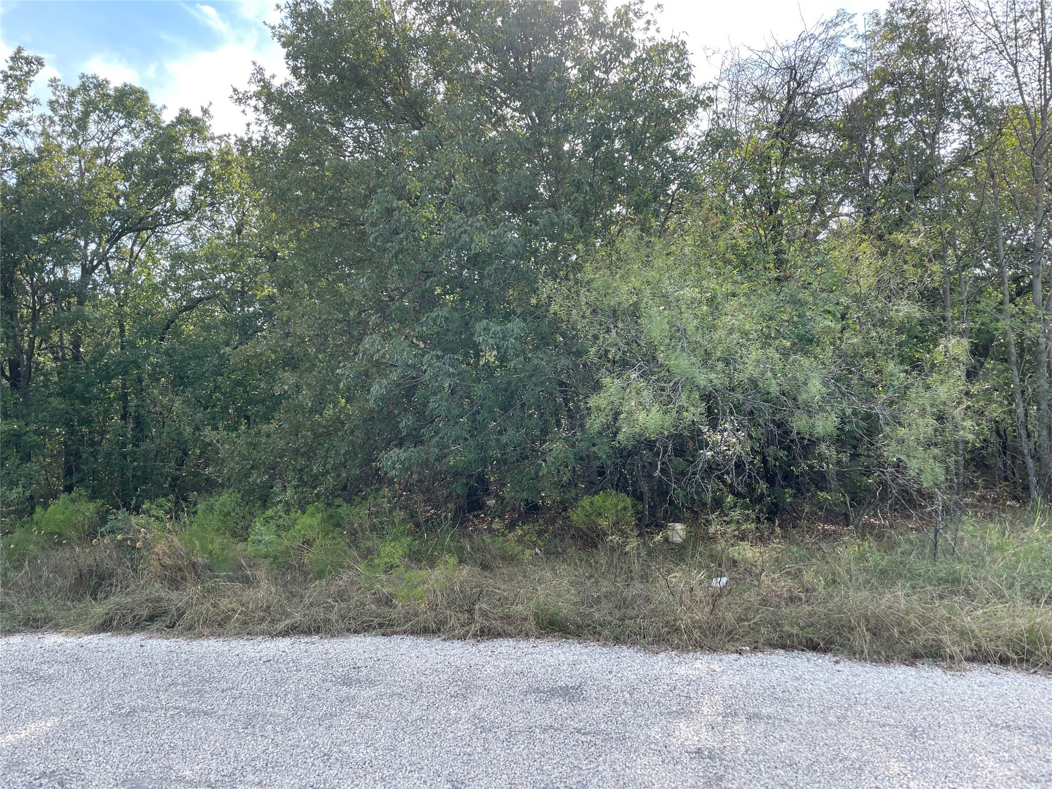 Lot 29 Brittons Lane Runaway Bay TX 76426
